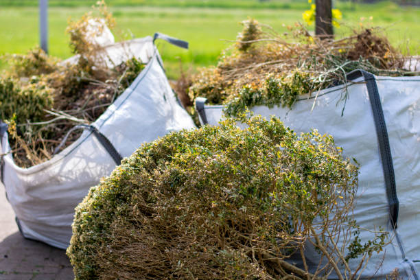 Best Junk Hauling Services  in Sparks, GA